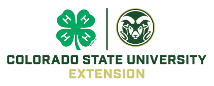 csuextension